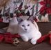 Lisa Rust - Facebook