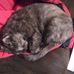 Lisa Marie Sackett - Facebook