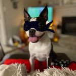 Lisa Sackett - @lsa227 - Instagram