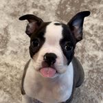 Lisa Sackett - @hazel.nut423 - Instagram