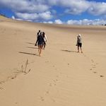 Lisa Wiley Sackett - @lolee_lisa - Instagram