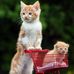 Lisa Saenz - Facebook