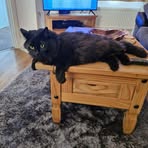Lisa Sales - Facebook