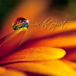 Lisa Sandifer Conard - @l.asc - Instagram
