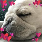 Lisa Sanger - @lisa_sanger73 - Instagram