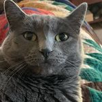 Lisa Sansone - @sansone1278 - Instagram