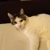 Lisa - @lisa_sarver - TikTok