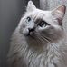 Lisa Savell Echeverry - Facebook