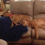 Lisa Savell Heck - @l.heck0428 - Instagram