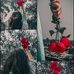 Liza Sajin - Facebook