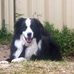 Lisa Scaife - Facebook