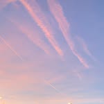 @lisasch_aa - Instagram