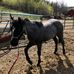 Lisa Schaal - Facebook