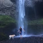 Lisa Scheele - @scheelectronic - Instagram