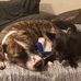 Lisa Schell - Facebook