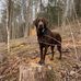 Lisa Schell - Facebook