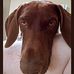 Lisa Schell Kent - Facebook