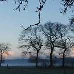 Elisabeth Schiller - @lisa.schiller70 - Instagram