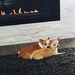 Lisa Schill - Facebook