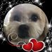 Lisa L. Schmidgall - Facebook