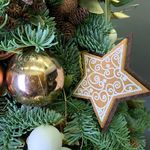 Lisa Schnabel - @healthtbustiterpb155 - Instagram