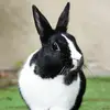 Lisa - @lisa.schneebau0 - TikTok