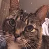 Lisa - @lisaschneer102 - TikTok