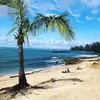 Lisa Schneekloth LaCoursiere - @lisa.schneekloth - TikTok