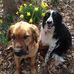 Lisa Schum - Facebook