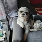 Lisa Schürmann - @lisa.schurmann.547 - Instagram