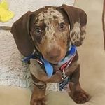 Lisa Searle - @searle2337 - Instagram