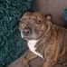 Lisa Searle - Facebook