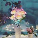 Lisa Seed - @lisalashes182023 - Instagram