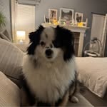 Lisa Sekki Seibert - @lisa.seibert - Instagram