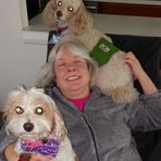 Lisa Severson Rusak - Facebook