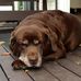 Lisa Shier - Facebook