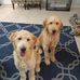 Lisa Shivers - Facebook