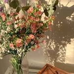 rekomendasi produk - @lisashope8279 - Instagram