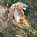 Lisa Schrader - Facebook