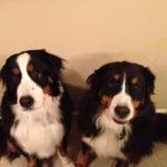 Lisa Marie Shutt - @mitasil - Instagram