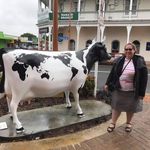 Lisa Shutt - @lisa.shutt.796 - Instagram