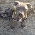 Lisa Sicard - @lisasicard1 - Instagram