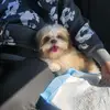 Rocky love - @lisaresidor - TikTok