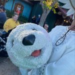 Lisa Siebold - @popcntry - Instagram