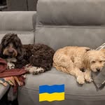 Lisa Silberman Karlin - @karlinlh - Instagram