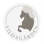 Lisa Silverberg - @vildagaardens_shetland_ponies - Instagram