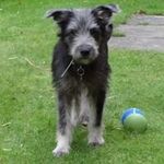 Lisa Singleton - @lisasingleton3006 - Instagram