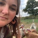 Lisa Sippel - @farmergirl1980 - Instagram