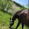 Lisa - @lisa.six - TikTok