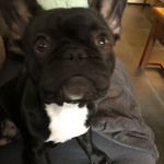 Lisa Six - @lisasix25 - Instagram